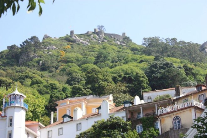 32276_1390176445512_731492_n