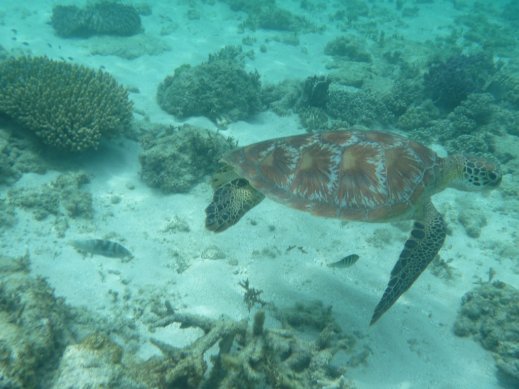 you so totally rock squirt!