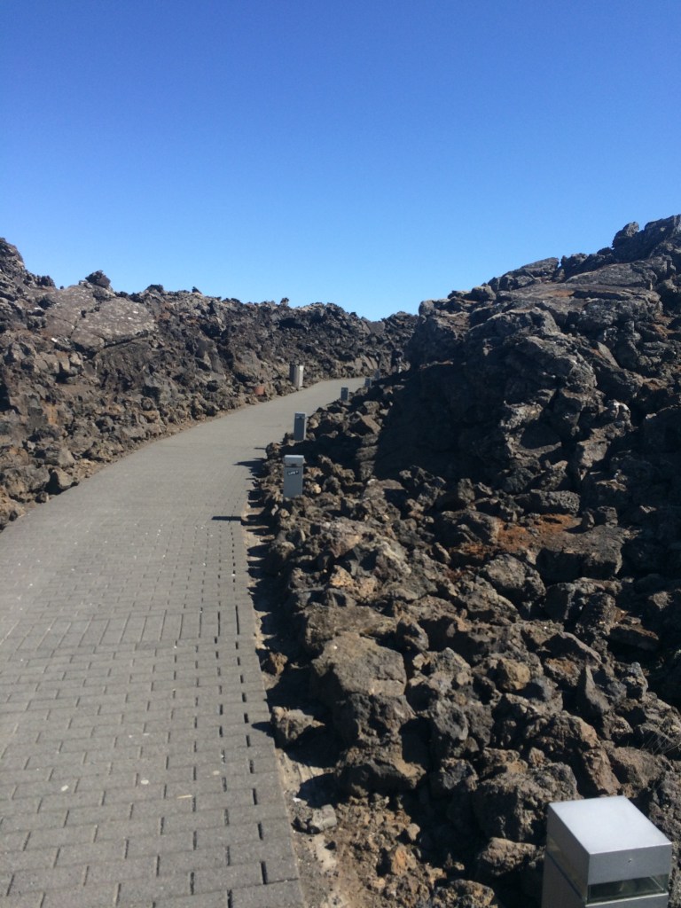 11212072_10204502271827879_1586033248_o