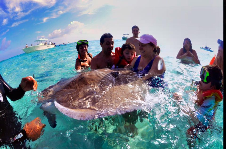 12734210_10102350971835815_8943139490675537306_n