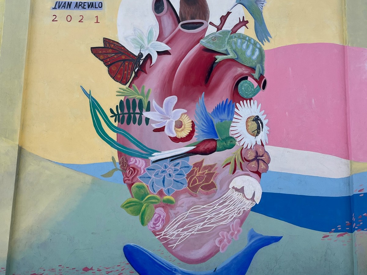 2025: the spontaneous&nbsp;choice